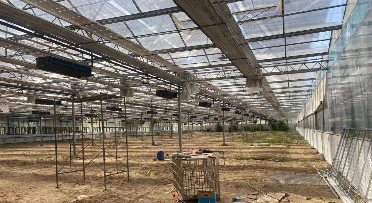 案例丨节能40%以上！中广欧特斯助力1万㎡温室大棚种植供热节能大升级